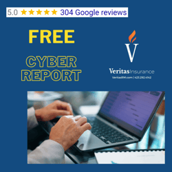 Free Cyber Report