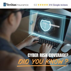 Cyber Risk Coverage 101 Everything You Need to Know