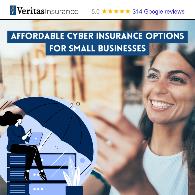 Affordable Cyber Insurance Options for Small Businesses