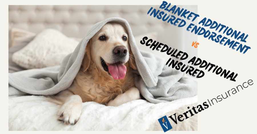 Blanket Additional Insured vs. Additional Insured: Which Is Better?