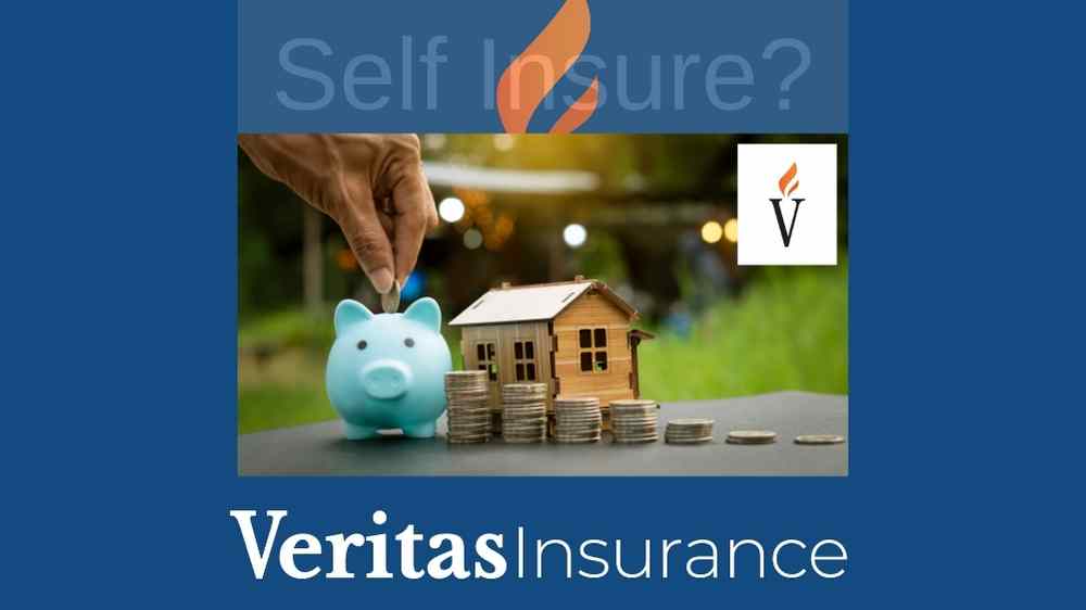 Self Insuring - The Ins and Outs of Self-Insuring Your Property