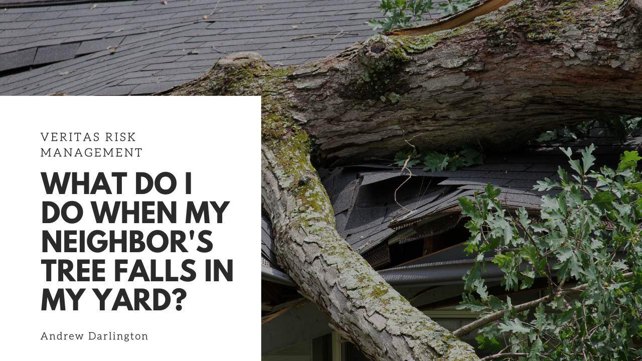 What Do I Do When My Neighbor's Tree Falls In My Yard?